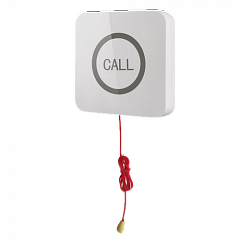 Кнопка вызова iBells 310S влагозащищенная со шнуром для МГН в Сургуте